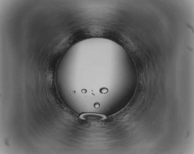 X0000098140697200804241714