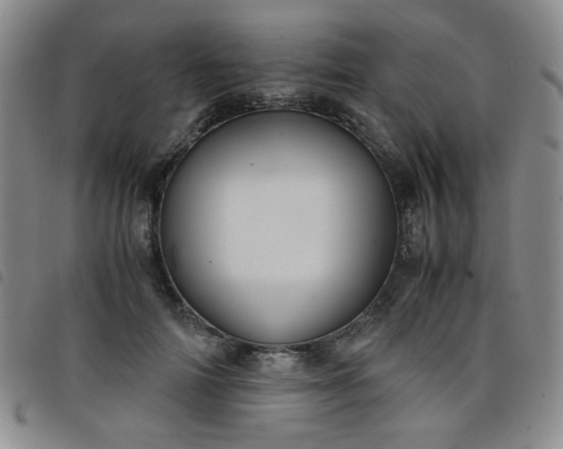 X0000098140698200804241714