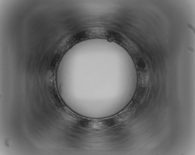 X0000098140701200804241714