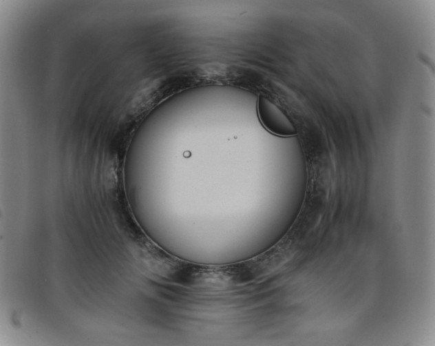 X0000098140702200804241714