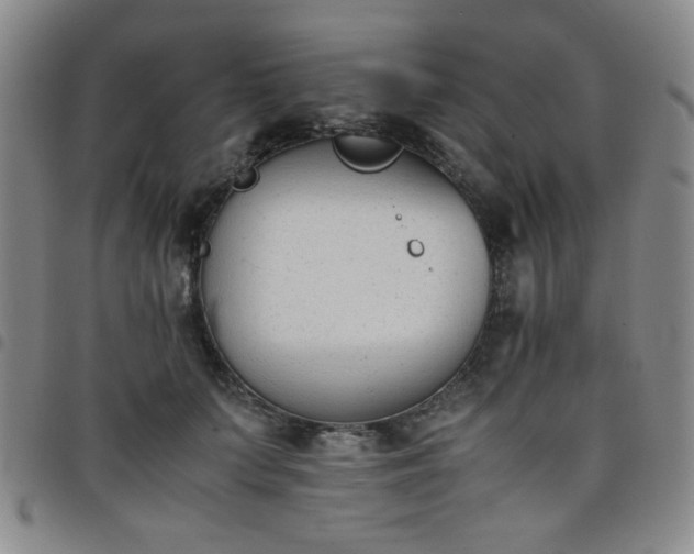 X0000098140703200804241714
