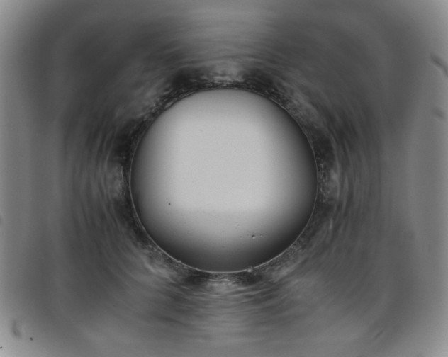 X0000098140704200804241714