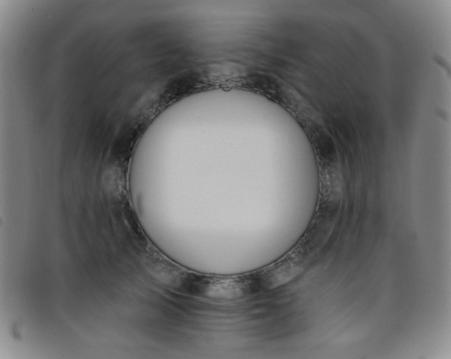X0000098140705200804241714