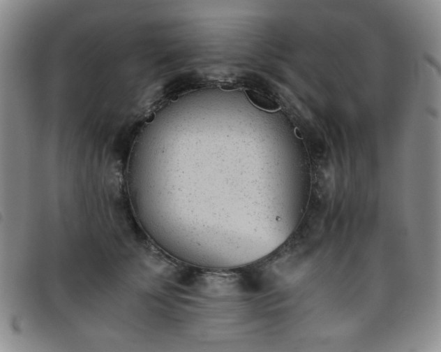 X0000098140707200804241714