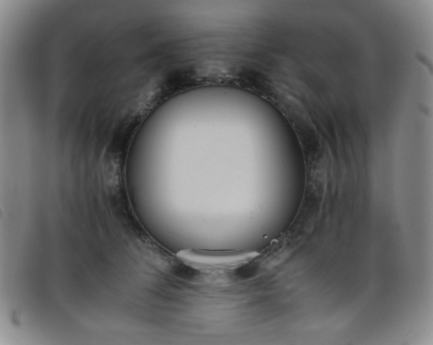 X0000098140708200804241714