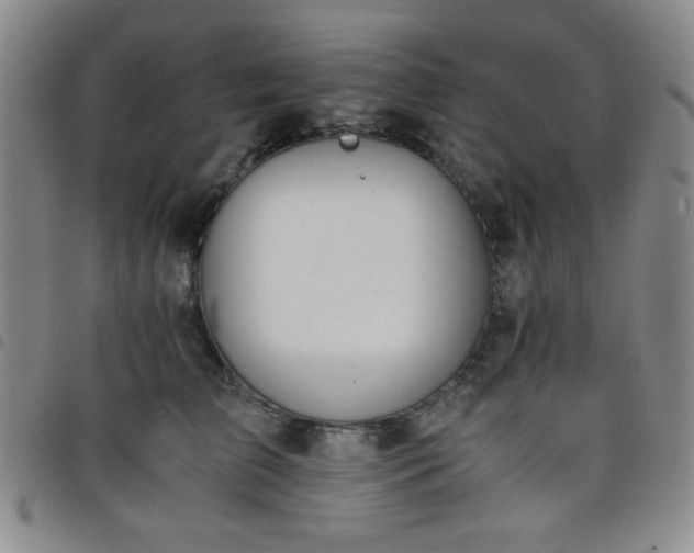 X0000098140709200804241714