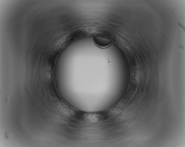 X0000098140710200804241714