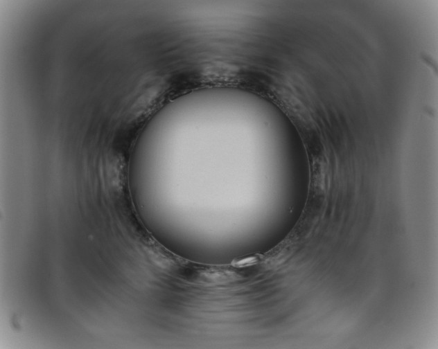 X0000098140712200804241714