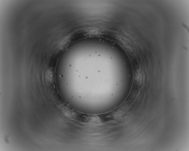 X0000098140715200804241714