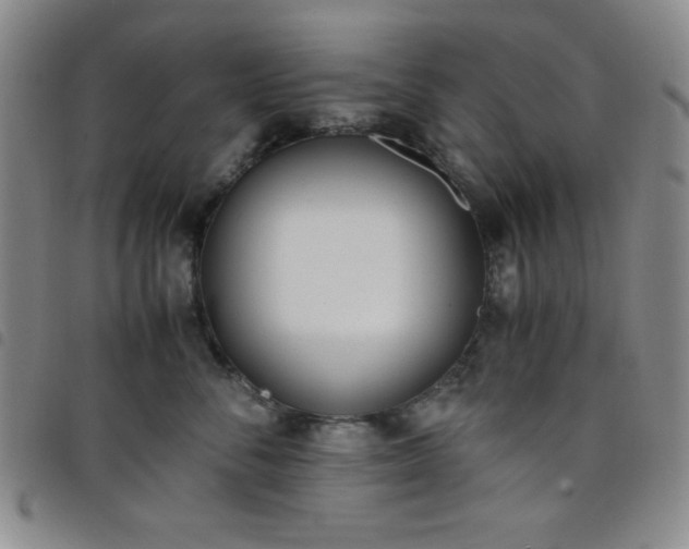X0000098140716200804241714