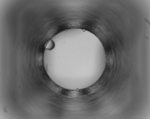 X0000098140717200804241714