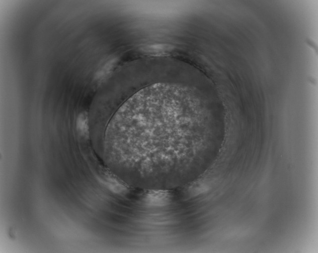 X0000098140720200804241714