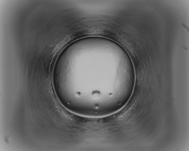 X0000098140721200804241713
