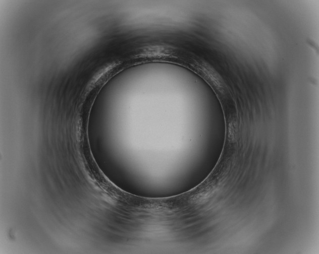 X0000098140724200804241713
