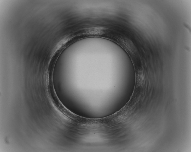 X0000098140726200804241713
