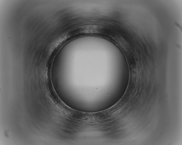 X0000098140727200804241713