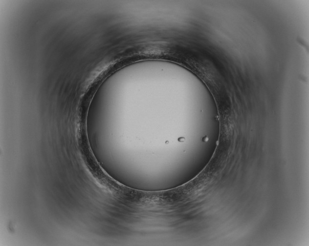 X0000098140728200804241713