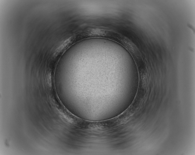 X0000098140729200804241713