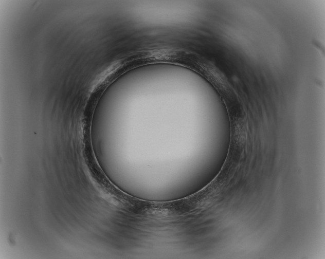X0000098140730200804241713