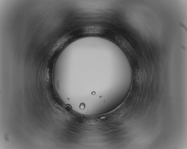X0000098140731200804241713