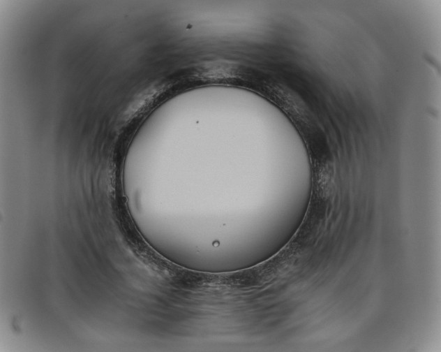X0000098140732200804241713