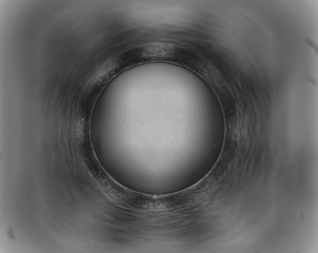X0000098140735200804241713