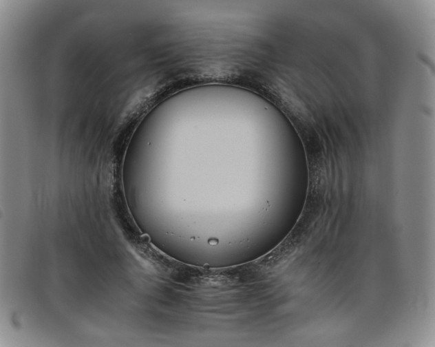 X0000098140736200804241713