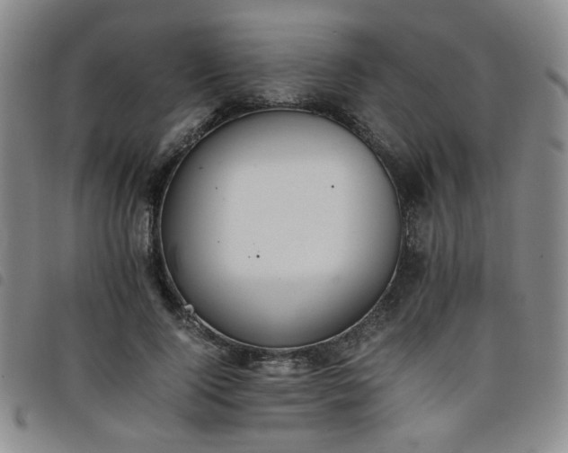 X0000098140740200804241713