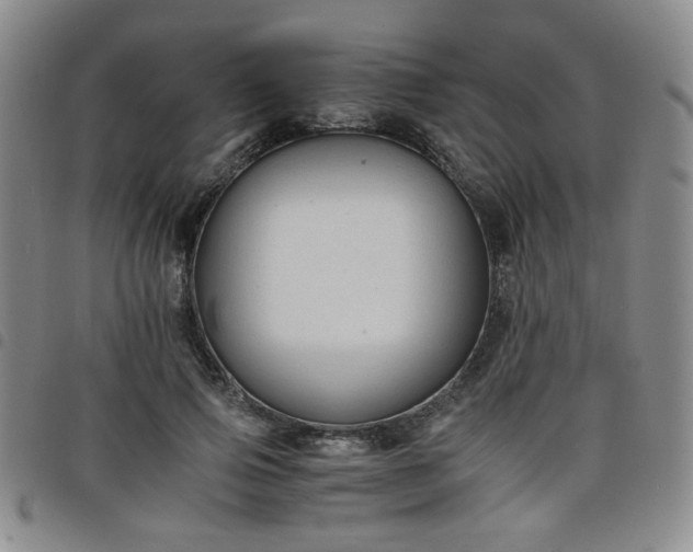 X0000098140741200804241713