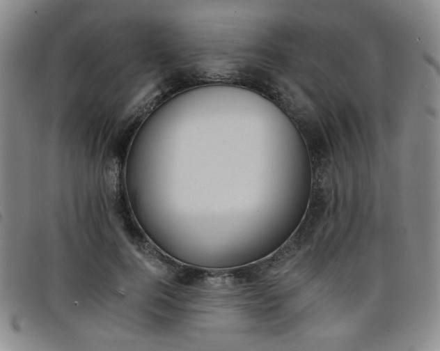 X0000098140744200804241713