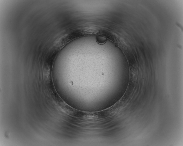 X0000098140745200804241713