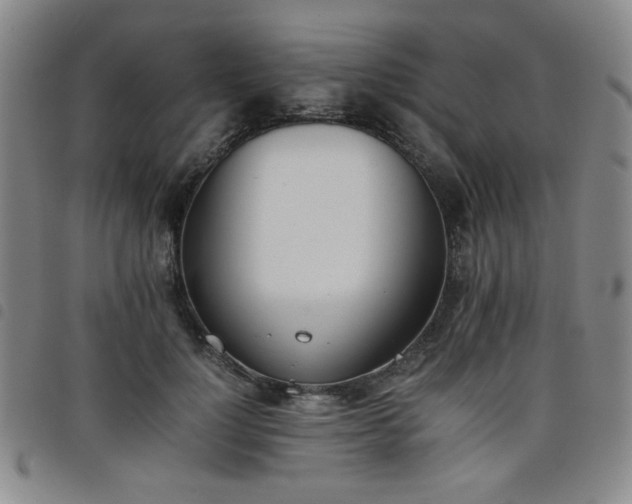 X0000098140748200804241714