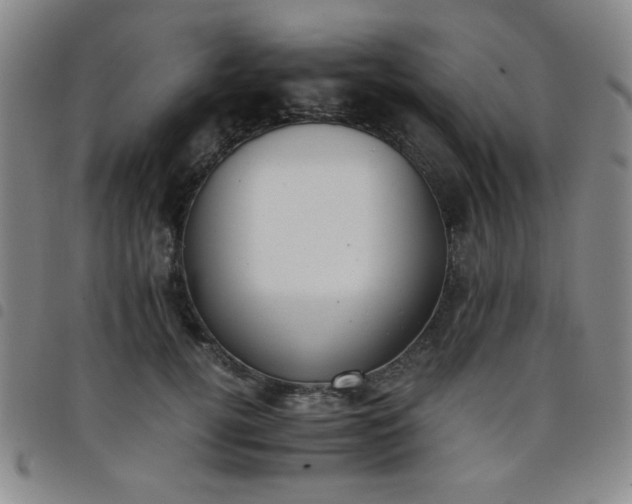 X0000098140752200804241714
