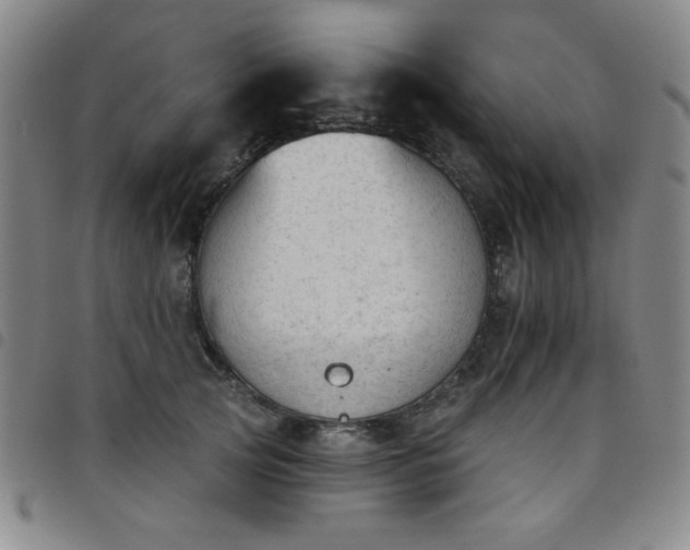 X0000098140753200804241714