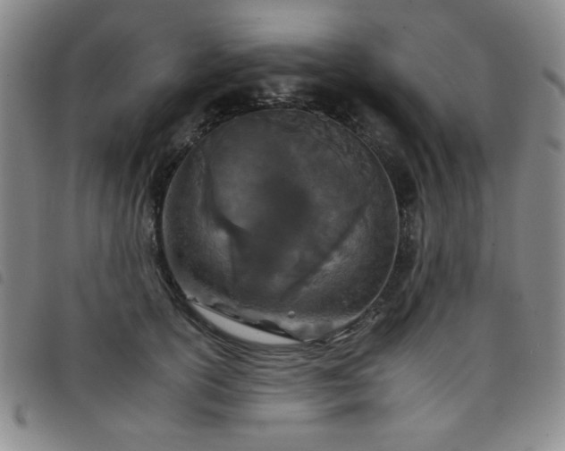 X0000098140754200804241714