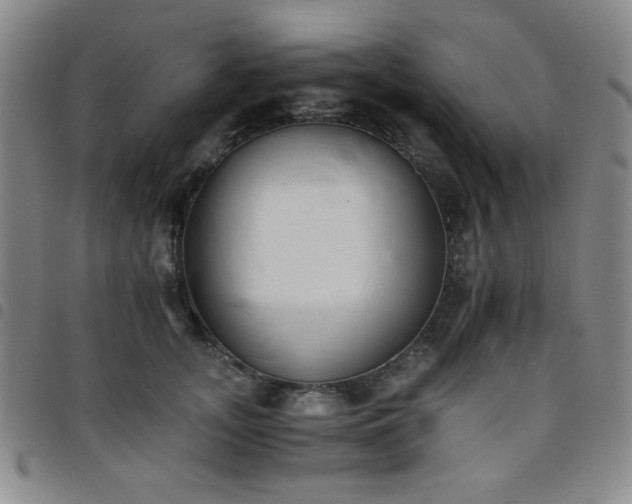 X0000098140755200804241714