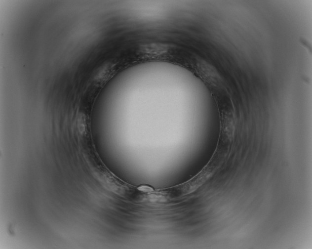 X0000098140758200804241714