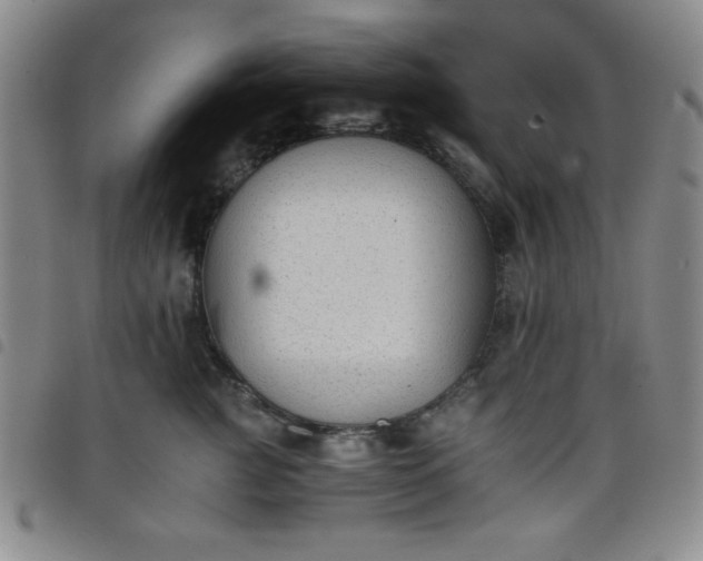 X0000098140761200804241714