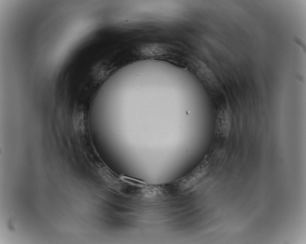 X0000098140762200804241714