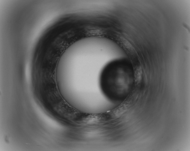 X0000098140764200804241714