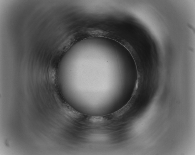X0000098140767200804241714