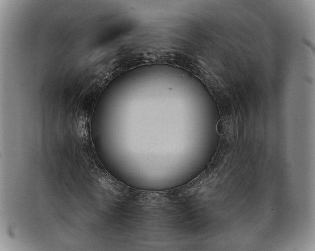 X0000098140770200804241713