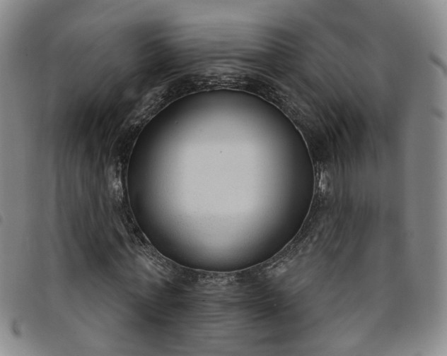 X0000098140771200804241713