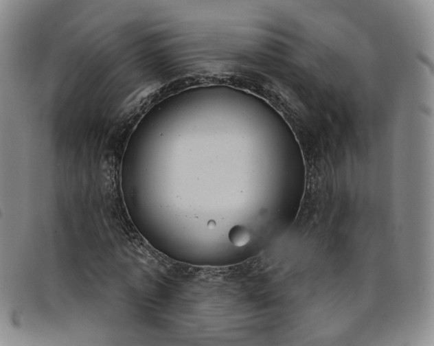 X0000098140773200804241713