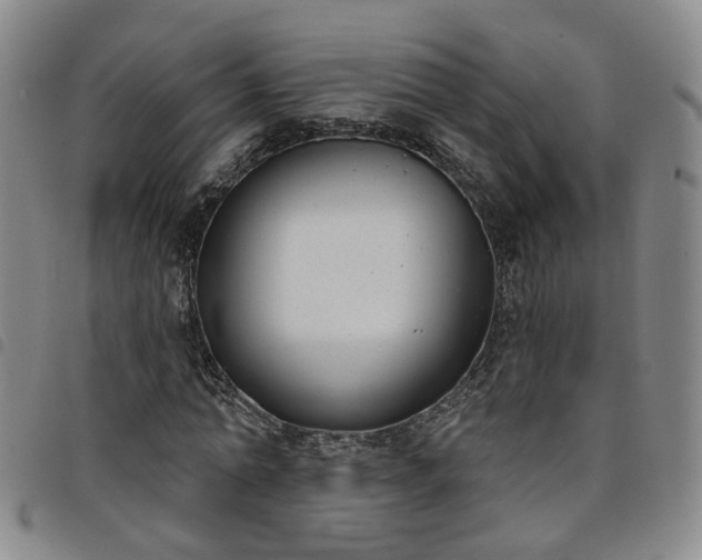 X0000098140774200804241713