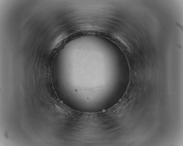 X0000098140775200804241713