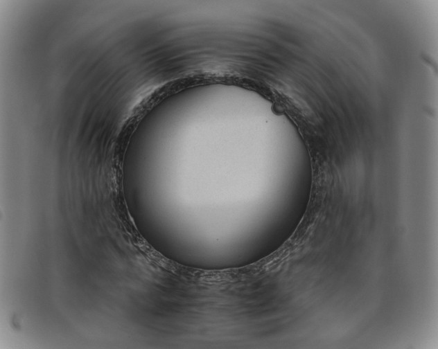 X0000098140776200804241713