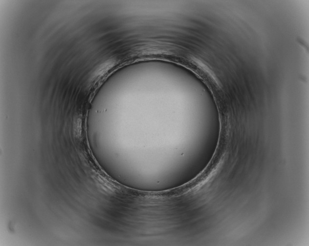 X0000098140777200804241713
