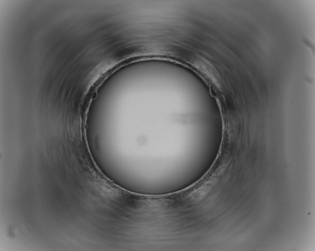 X0000098140781200804241713