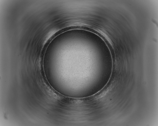 X0000098140783200804241713